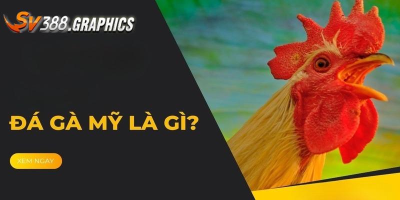 SV388 Trực Tiếp | Tổng Hợp 5 Hình Thức So Tài Mãn Nhãn Nhất Lối đá gà Mỹ độc đáo