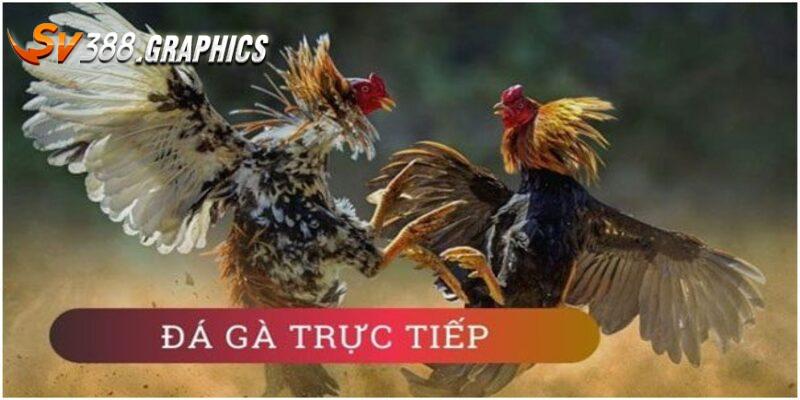 SV388 Trực Tiếp | Tổng Hợp 5 Hình Thức So Tài Mãn Nhãn Nhất Tổng quan về SV388 trực tiếp