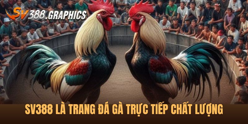 SV388 Đá Gà Trực Tiếp: Nơi Cung Cấp Đa Dạng Nhiều Trận Đấu Tổng quan về trang SV388 trực tiếp đá gà